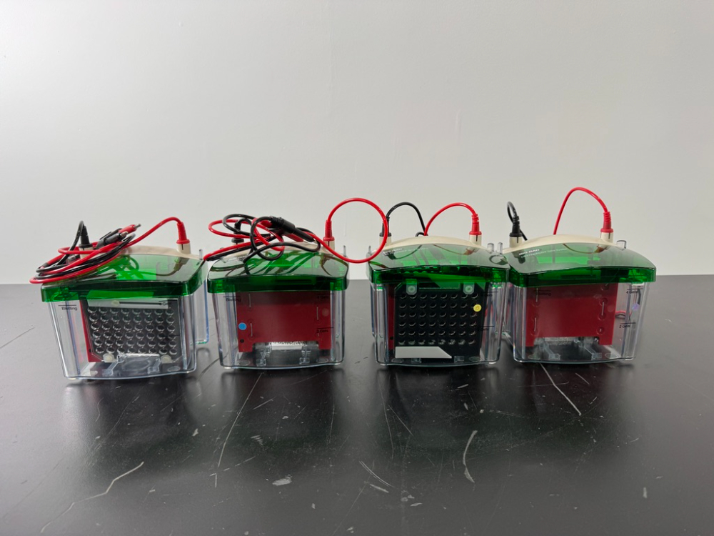 Image of Bio-Rad Mini-Trans Blot Cells - Quantity 4